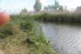 IMG 7191
