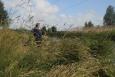 IMG 7193