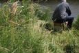 IMG 7199