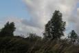 IMG 7228