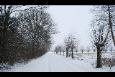 Afbeelding 033