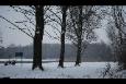 Afbeelding 036