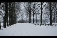 Afbeelding 037