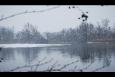 Afbeelding 043