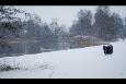 Afbeelding 044
