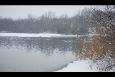 Afbeelding 051
