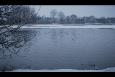 Afbeelding 068