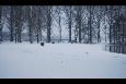 Afbeelding 069