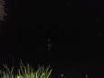 DSCI0111 (Small)