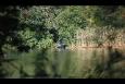 Karperwedstrijd 187 (Small)