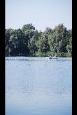 Karperwedstrijd 199 (Small)